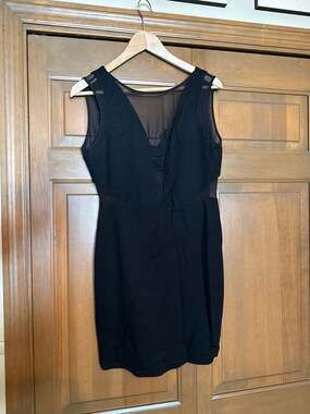 Fable Mesh Inset Sheer V-Neck Bodycon Mini Dress